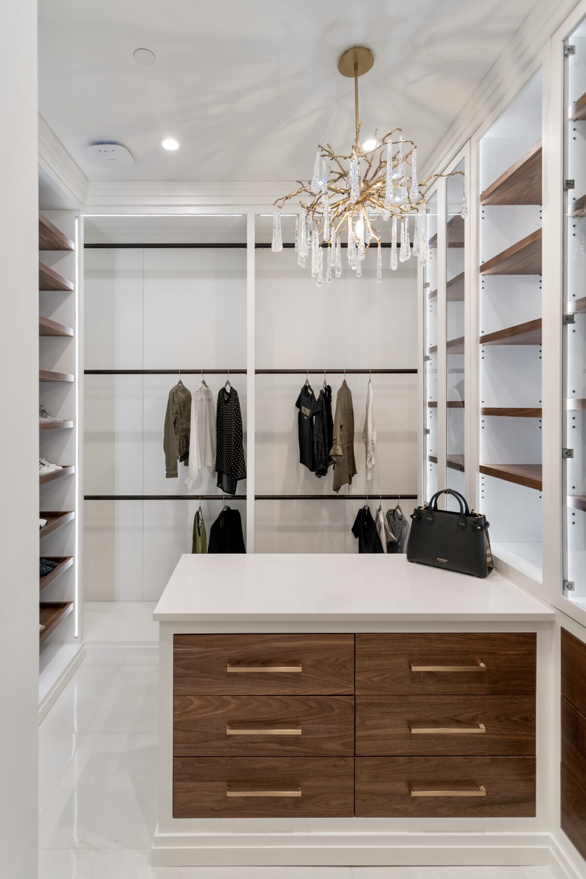 Cedar's Portfolio image