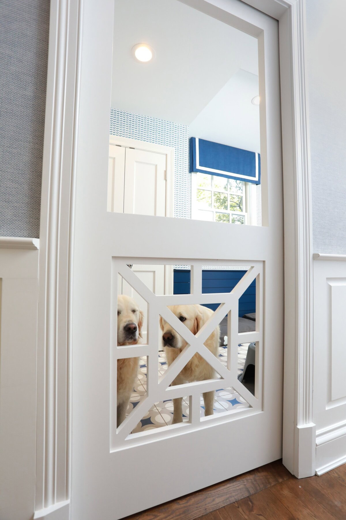 Indian Hill's Portfolio image