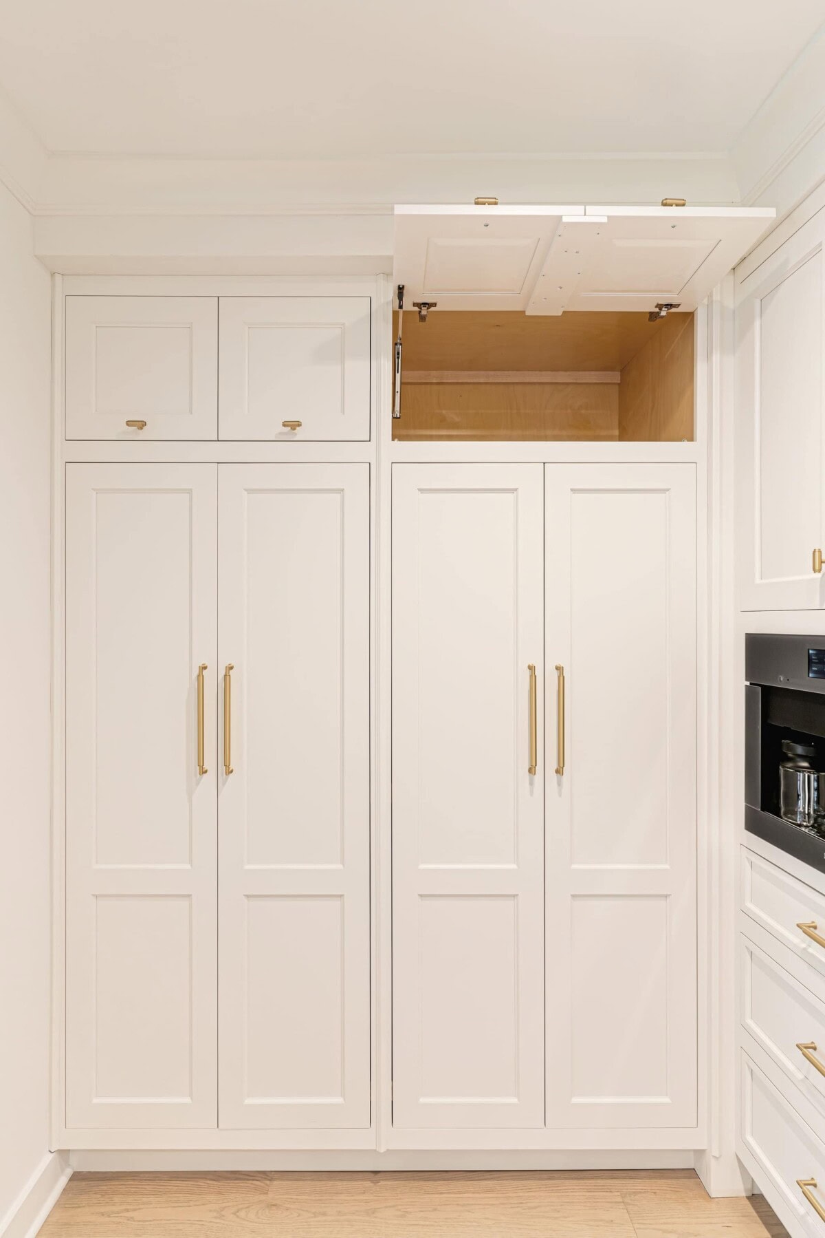 Chestnut II's Portfolio image