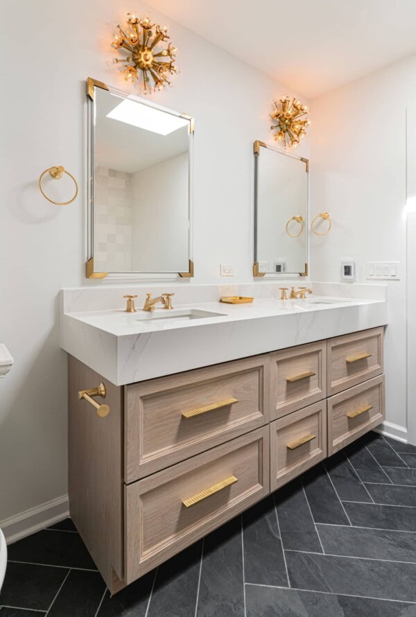 Chestnut II's Portfolio image